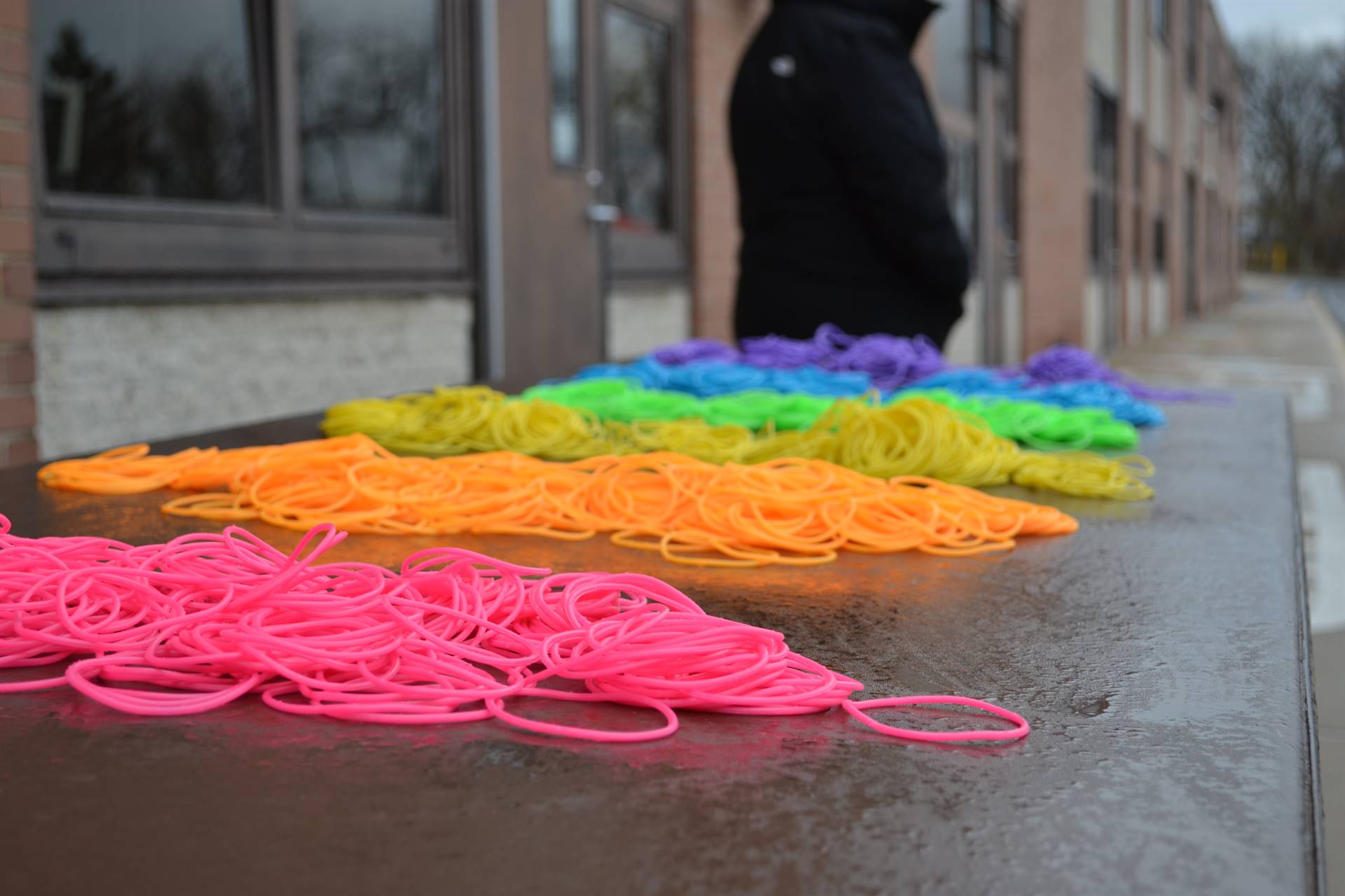 Rainbow bracelets for the walk for kindness